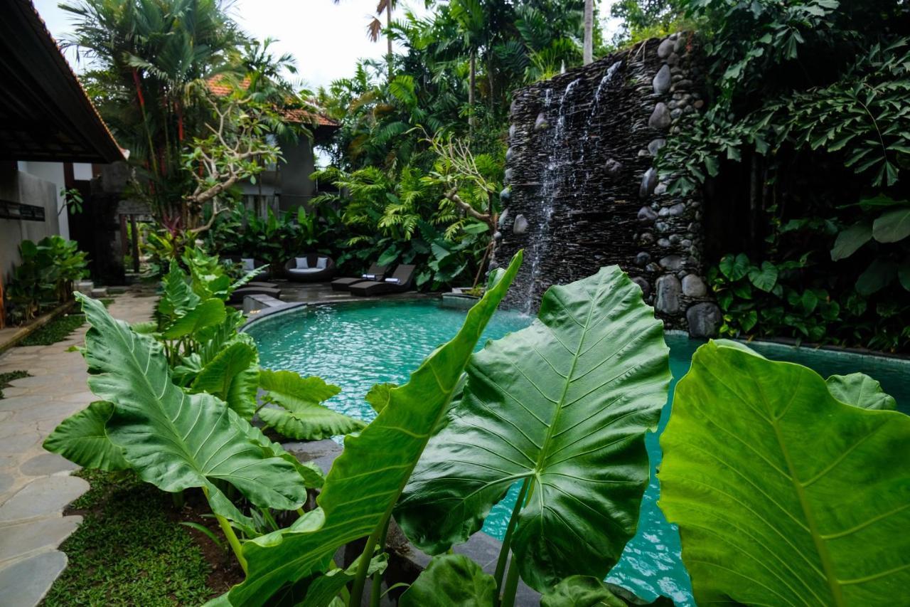 Japa & Resort